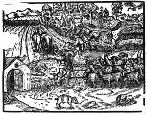 księgi wtore czesc pierwsza'