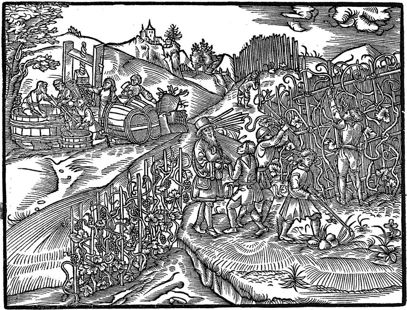 crescentyn strona tytułowa