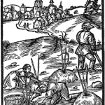 Piąte księgi o winie