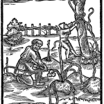 Piąte księgi o winie