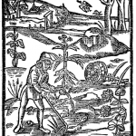 Piąte księgi o winie