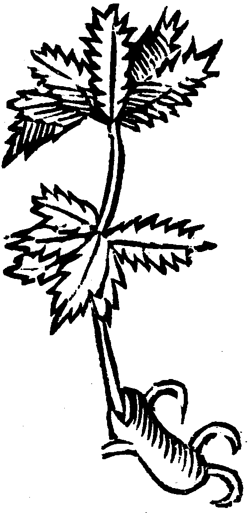 kurze ziele
