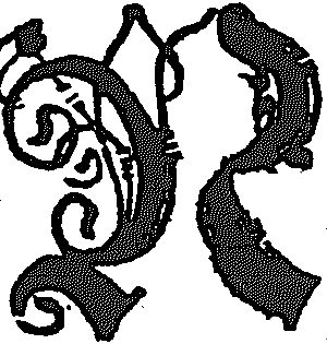 wołowego języku