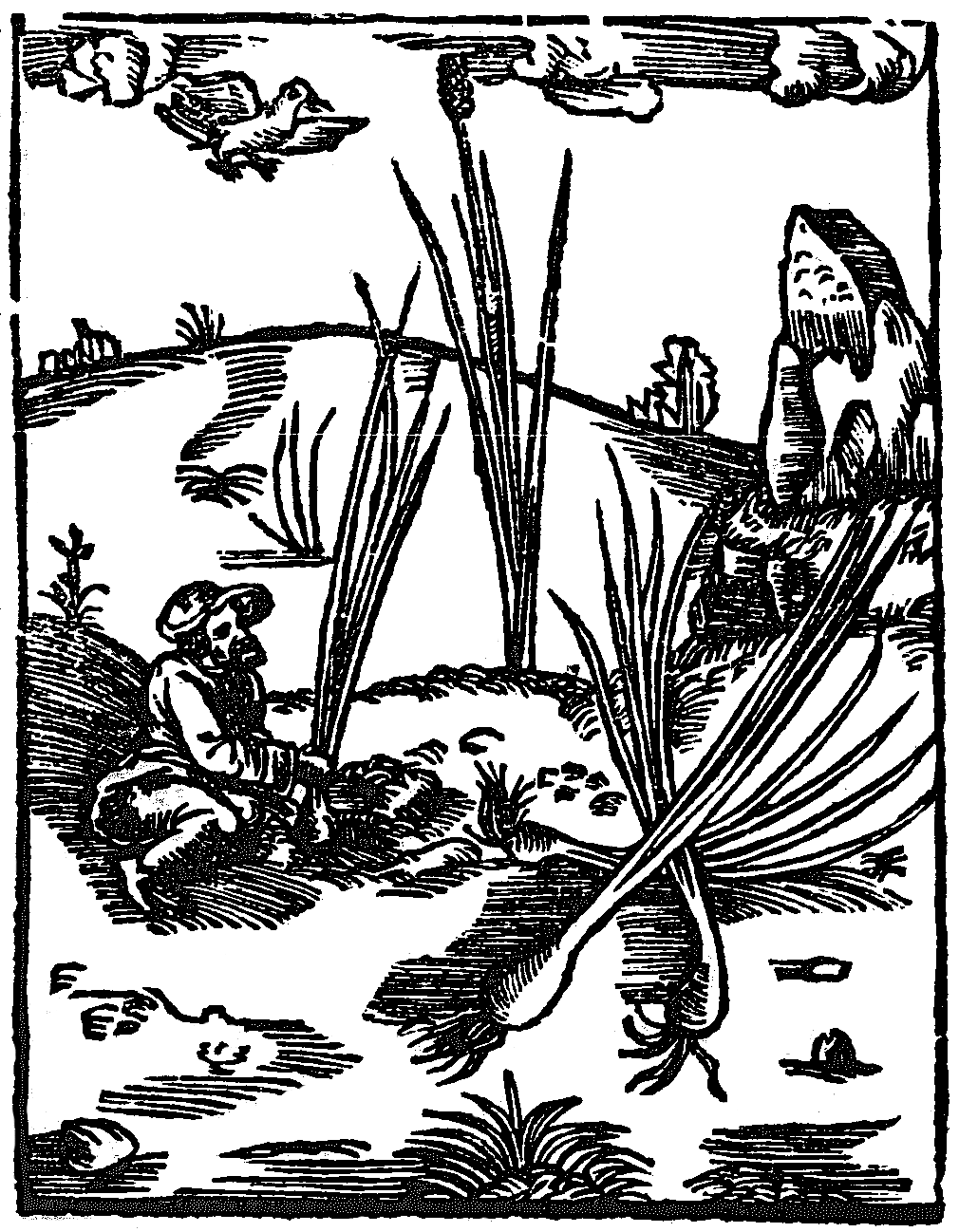 łuk