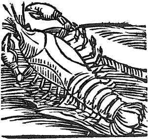 rak