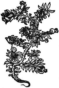 granat