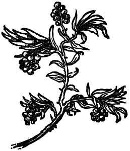 kubeby
