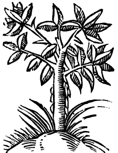 styrak