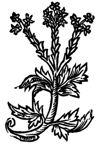 koszyszczko
