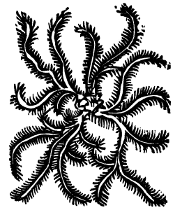 mech